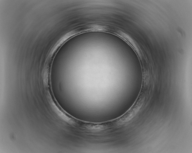 X0000115680851200911121244