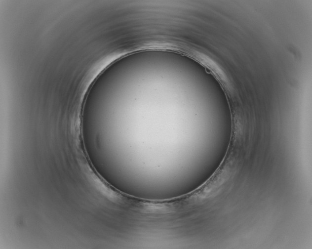 X0000115680852200911121244