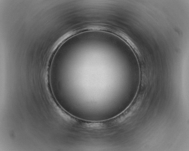 X0000115680853200911121244