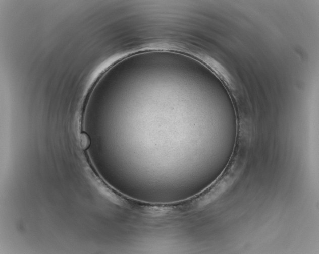 X0000115680854200911121244