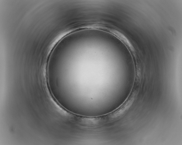 X0000115680855200911121244