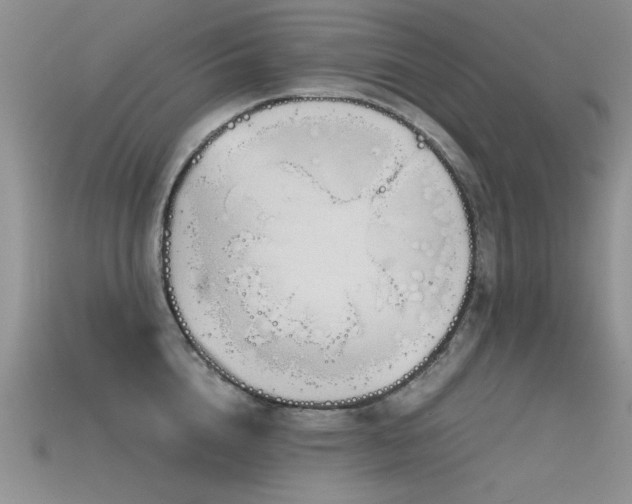 X0000115680856200911121244