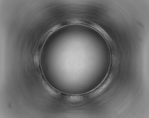 X0000115680857200911121244