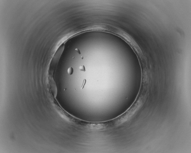 X0000115680858200911121244