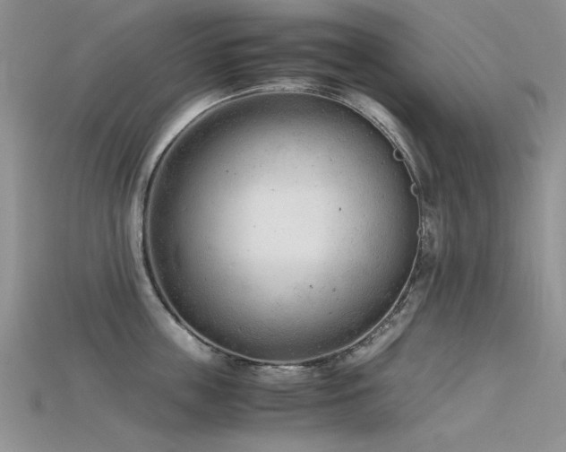 X0000115680859200911121244