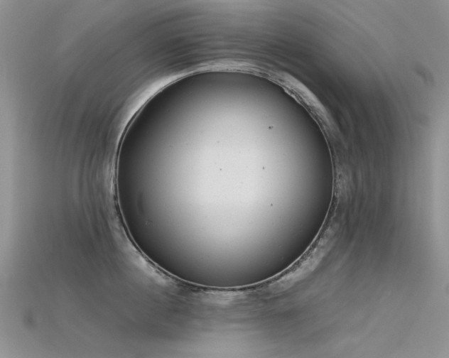 X0000115680860200911121244