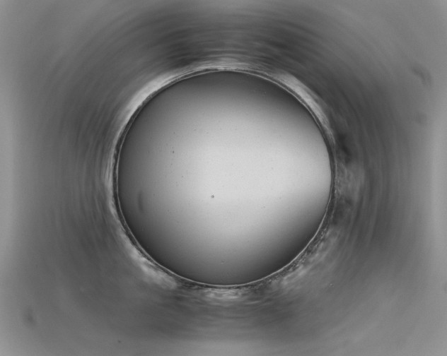 X0000115680861200911121244