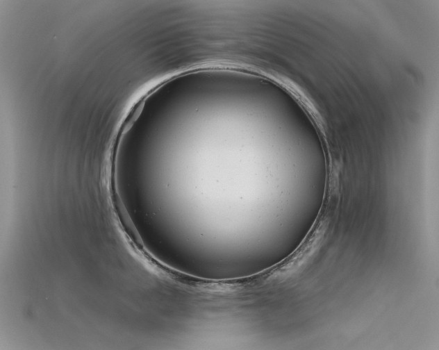 X0000115680862200911121244