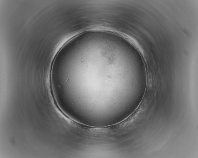 X0000115680863200911121244