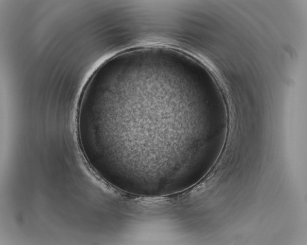 X0000115680864200911121244