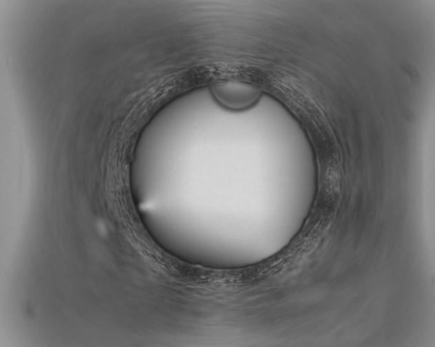 X0000115680865200911121244