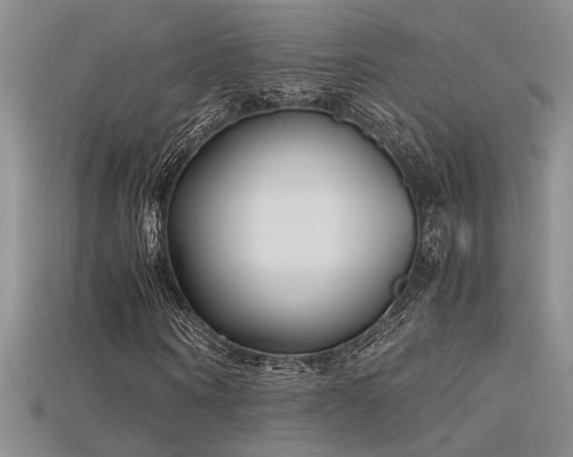 X0000115680866200911121244