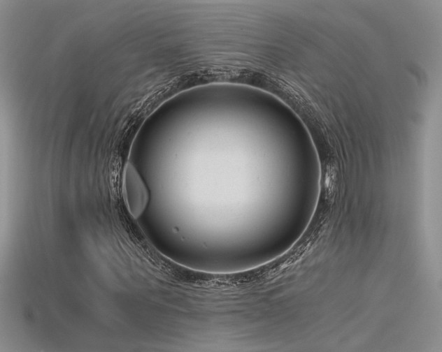 X0000115680867200911121244