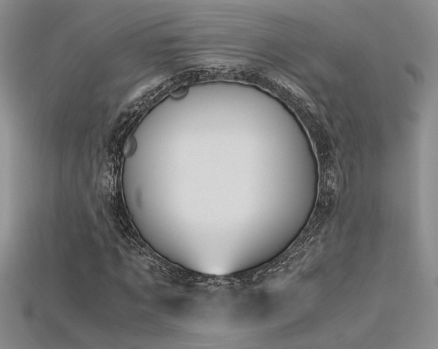 X0000115680869200911121244