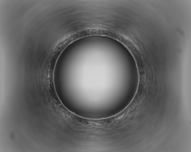 X0000115680870200911121244