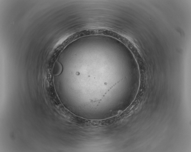 X0000115680871200911121244