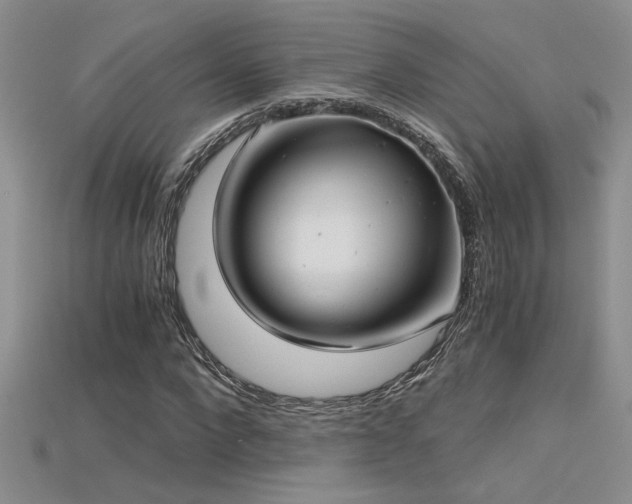 X0000115680872200911121244