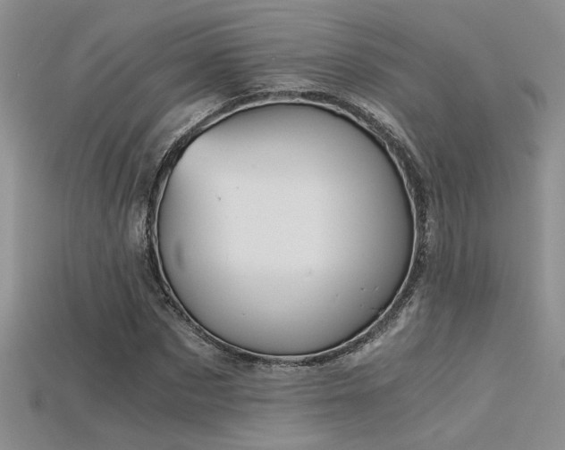 X0000115680873200911121244