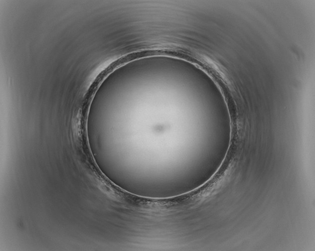 X0000115680875200911121244