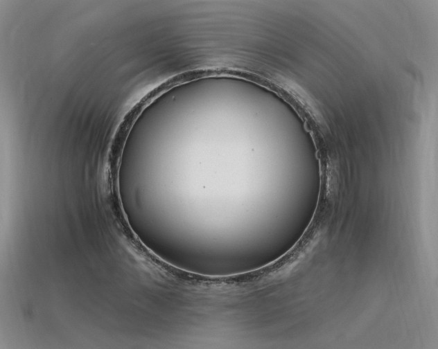 X0000115680876200911121244