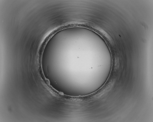 X0000115680878200911121244