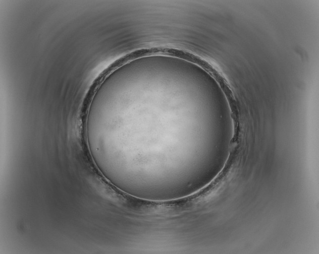 X0000115680879200911121244