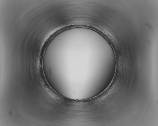 X0000115680880200911121244