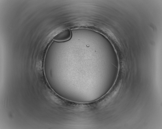 X0000115680881200911121244