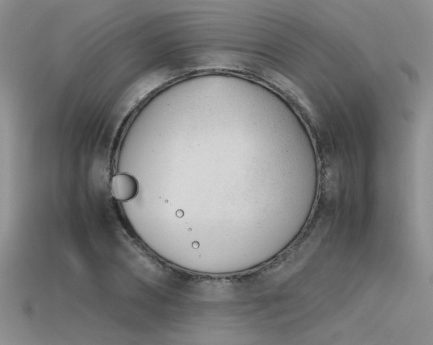 X0000115680882200911121244