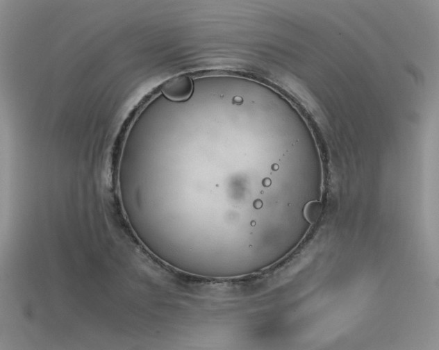 X0000115680883200911121244