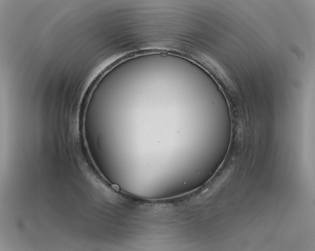 X0000115680884200911121244