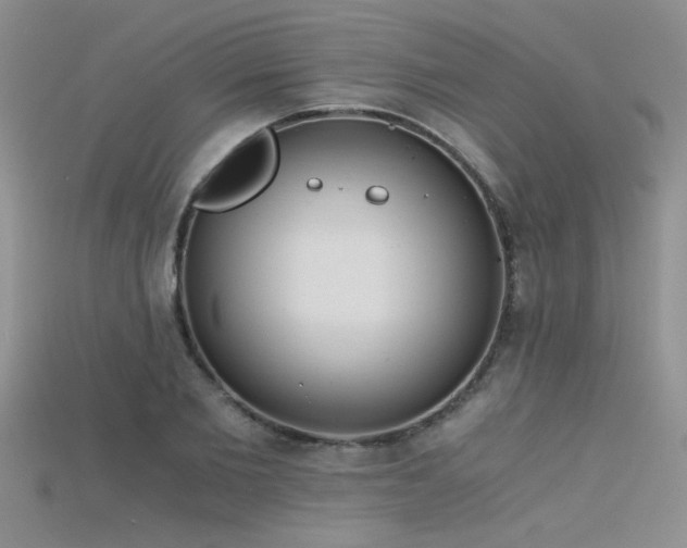 X0000115680885200911121244