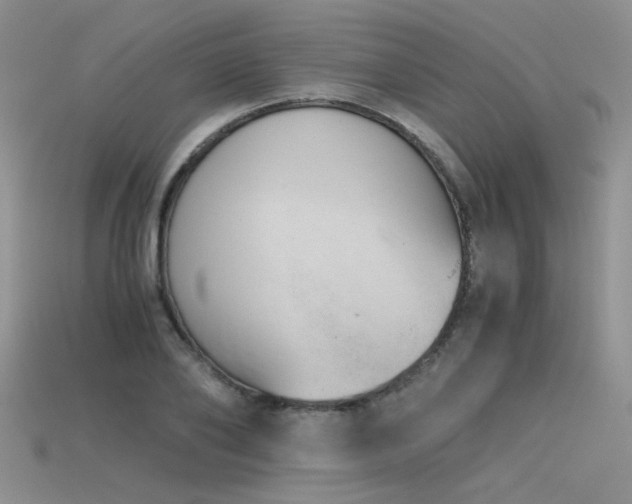 X0000115680886200911121244