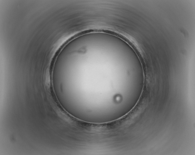 X0000115680887200911121244