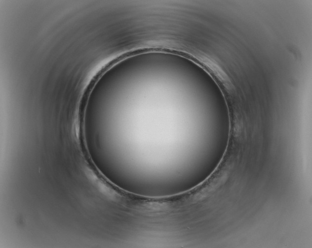 X0000115680888200911121243