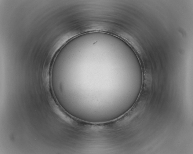 X0000115680890200911121243