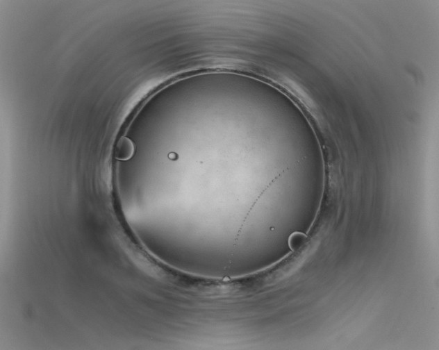 X0000115680891200911121243