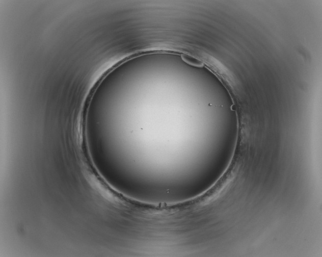 X0000115680892200911121243