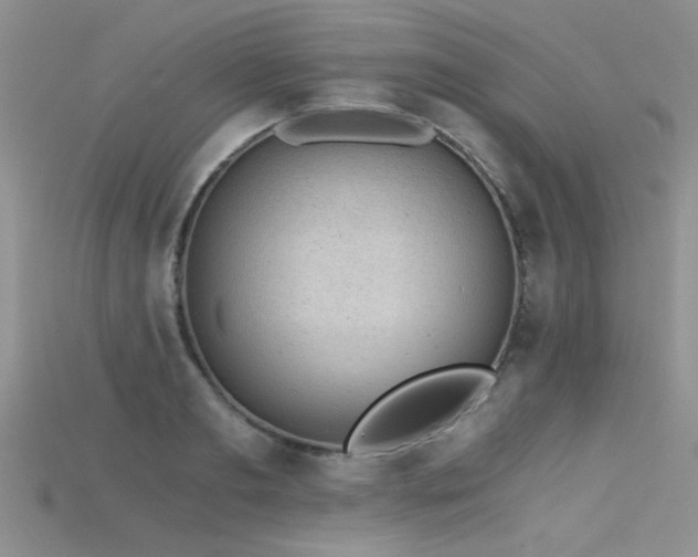 X0000115680893200911121243