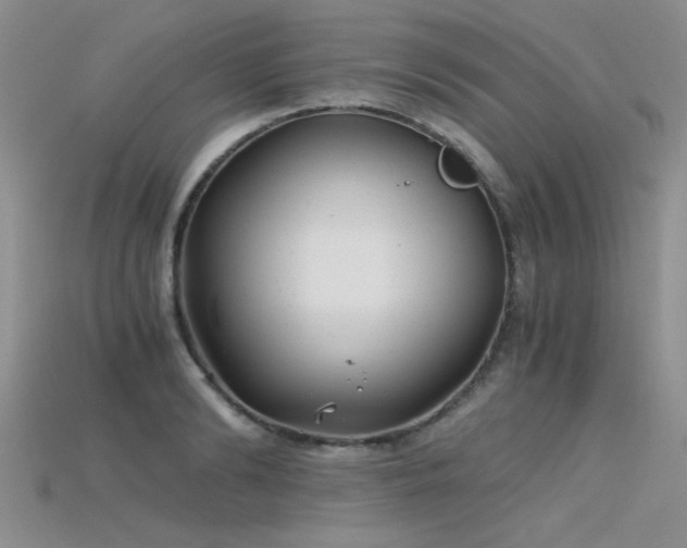 X0000115680894200911121243