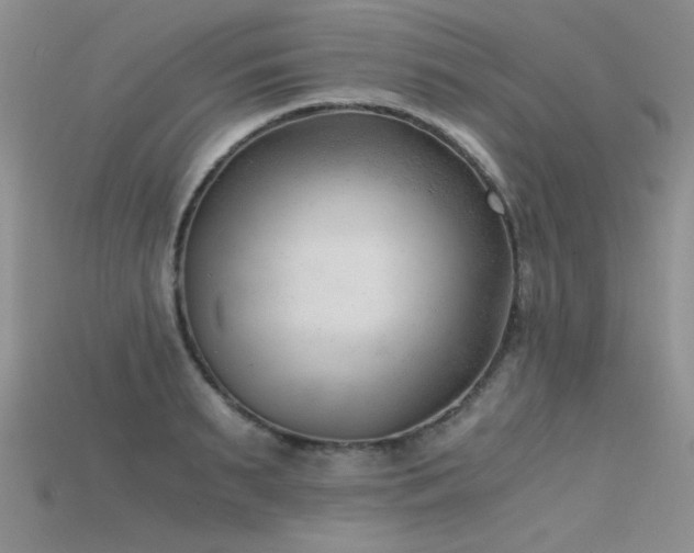 X0000115680895200911121243