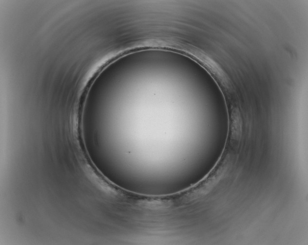 X0000115680896200911121243