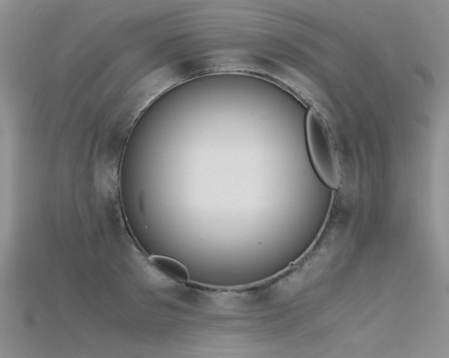 X0000115680897200911121243