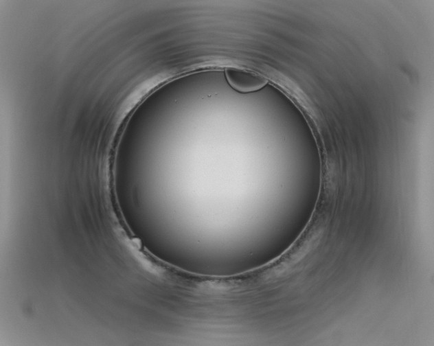 X0000115680898200911121243