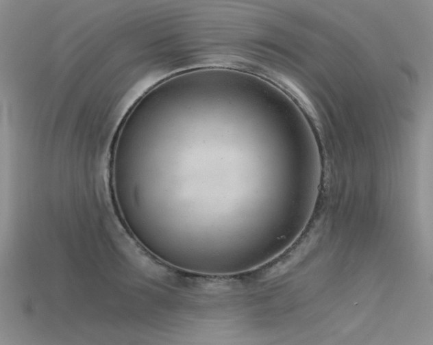 X0000115680899200911121243