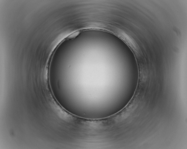 X0000115680900200911121243