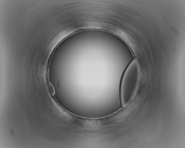 X0000115680901200911121243