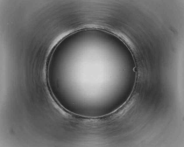 X0000115680902200911121243