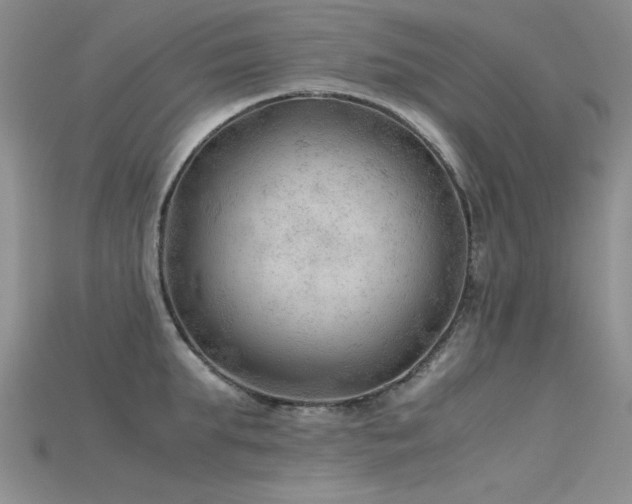 X0000115680903200911121243