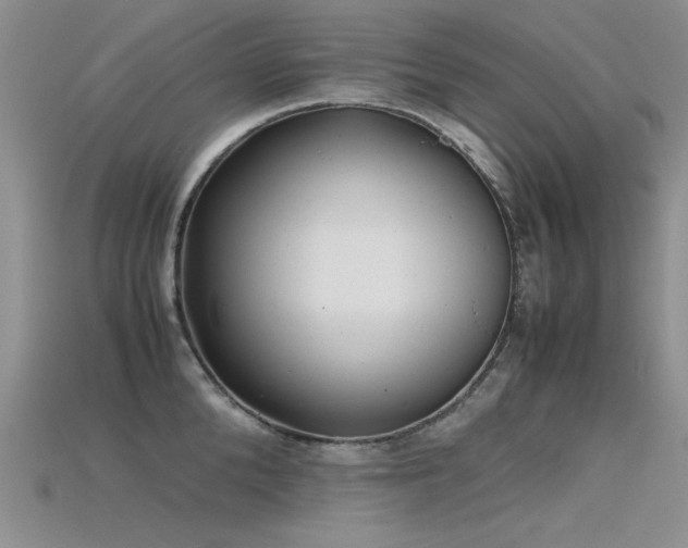 X0000115680904200911121243